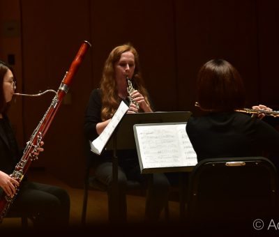 Young Artists Series