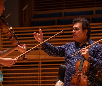 Sergiu Schwartz, violin