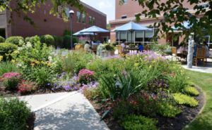 Mid Coast Hospital Garden