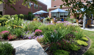 Mid Coast Hospital Garden