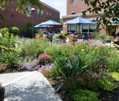 Mid Coast Hospital Garden