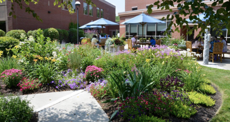 Mid Coast Hospital Garden