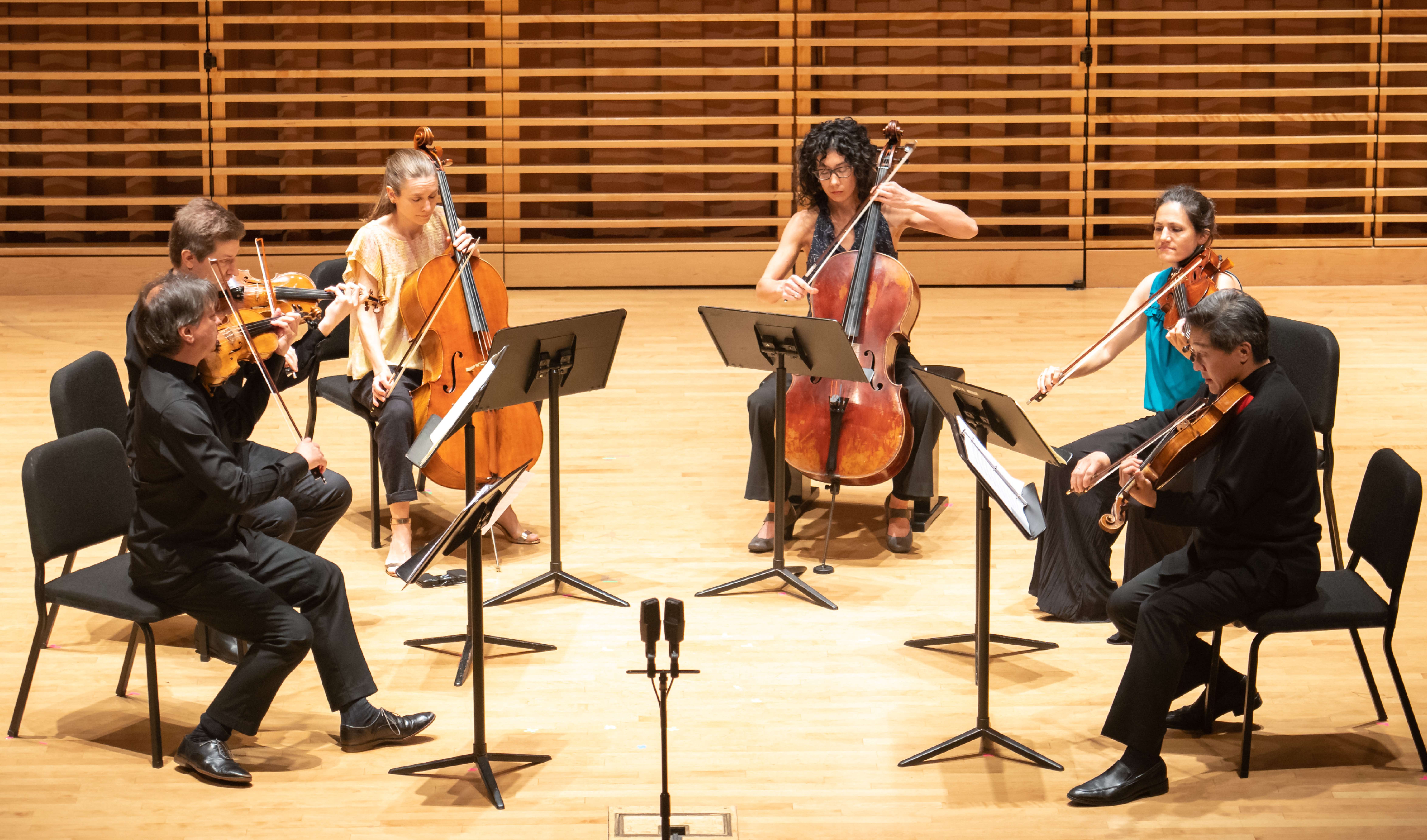 Faculty Performing in Studzinski Recital Hall