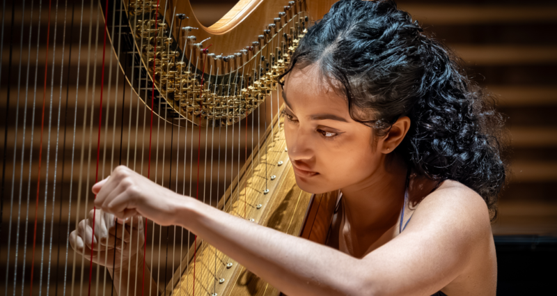 Young Artist Performing