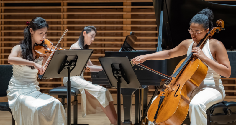 Young Artists Performing
